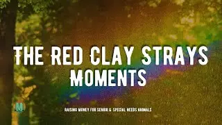 The Red Clay Strays - Moments