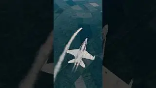 DCS: AIM-9X