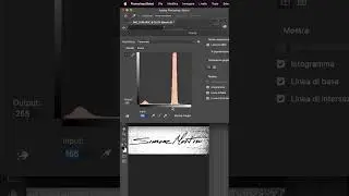 Come Creare la tua Firma Digitale con Photoshop #shorts