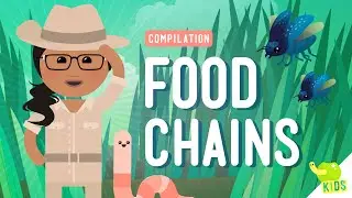 Food Chains Compilation: Crash Course Kids