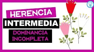 DOMINANCIA INCOMPLETA 🧐🌺