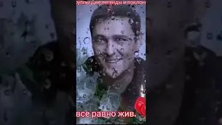 Ты все равно жив. Помним, любим, скорбии