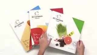 American Crafts - Cardstock