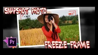 Snapshot Photo Freeze Frame Effect in your video  /create a freeze frame in adobe premiere pro