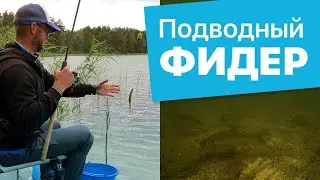 ПОДВОДНЫЙ ФИДЕР ! Рыбалка 2020 . Подводная съемка. Часть 3.
