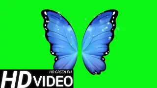 FREE HD GREEN SCREEN || BLUE BUTTERFLY|| FREE DOWNLOAD