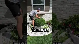 Trim 101- #trim #trimmer #oddlysatisfying #landscape #diy #shear #spring #satisfying