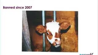 farm animal welfare the regulatory and policy landscape