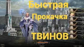Быстрая прокачка ТВИНКОВ в Lineage 2 Project Eva