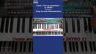 KORG Pa~Стиль «Там, за туманами»_ЛЮБЭ_Любая модель_караоке_текст Dmin_Korg style Demonstration