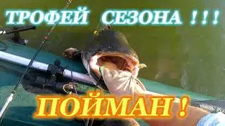 СОМ НА КВОК. 🌟28 кг. 🏅ПЕРВЫЙ ТРОФЕЙ СЕЗОНА!