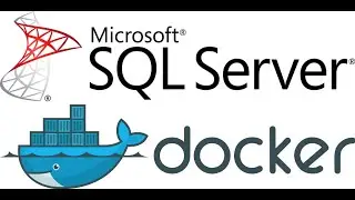 Install Microsoft SQL Server on Mac and Windows in 2020 using Docker