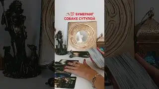 @SonyaTaros  #бумеранг #таро #tarot #гадание #sonyataros #сонятаро #тароонлайн #магия #картытаро