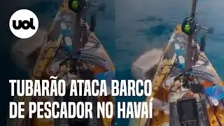 Tubarão tigre ataca barco de pescador no Havaí; veja vídeo