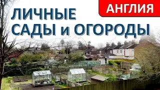 АНГЛИЯ — У ЛЮДЕЙ ЕСТЬ ОГОРОДЫ И ТЕПЛИЦЫ, ГДЕ ОНИ ВЫРАЩИВАЮТ ЦВЕТЫ, ФРУКТЫ И ОВОЩИ