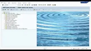 View the client data in T000 table