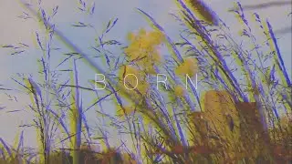 HORR. prod - b o r n