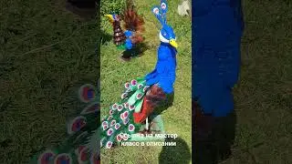 Как сделать павлина из пластиковых бутылок.  Скульптуры для сада. DIY a peacock.