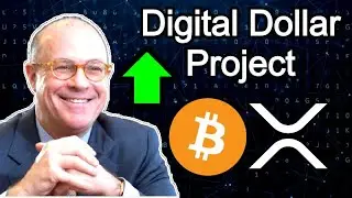 DIGITAL DOLLAR PROJECT New Members - Coin metrics $6M Funding -Cardano Upgrade - XRP Scams