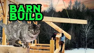 How to Build a Barn Frame in 36 Hours (TIMELAPSE)