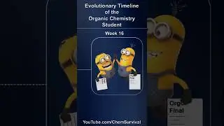 Evolutionary Timeline of the Organic Chemistry Student