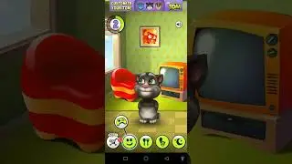 My Talking Tom 1.3.1 версия