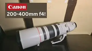 New Lens Day! Canon 200 400mm f4 with 1.4x Convertor