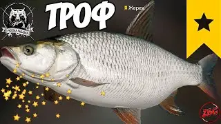 ЖЕРЕХ ТРОФ р. СУРА ⭐ РУССКАЯ РЫБАЛКА 4 |  RUSSIAN FISHING 4🐟@Z-B-G