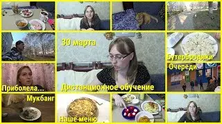 Влог, 30 марта,  Где спит Ласка, Дистанционное обучение на карантине, Приболела, Наше меню