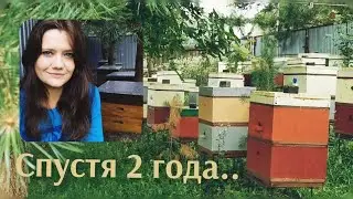 Пасека спустя два года )