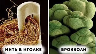 Макрофото повседневных вещей