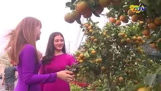 Vì một mùa Xuân bình yên - 21/01/2023 | BLTV - Truyền hình Bạc Liêu