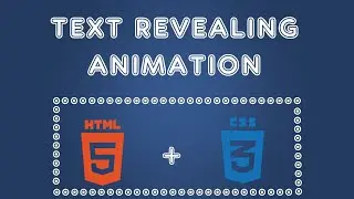 CSS Text Reveal Animation