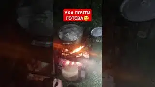 Уха почти готова🤤