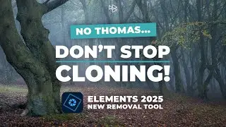 No Thomas, It's Not Time to Stop Cloning Things Out