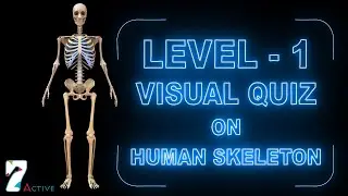 Visual Quiz on Human Skeleton (Level - 1)