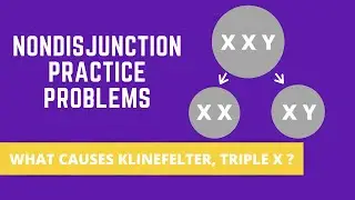 NONDISJUNCTION PRACTICE PROBLEMS (KLINEFELTER SYNDROME, TRIPLE X SYNDROME)