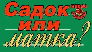 Матководство ч.21. Матка или отводок в садке?