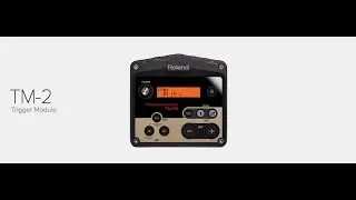 Roland Trigger Module TM-2 | Review | Unboxing