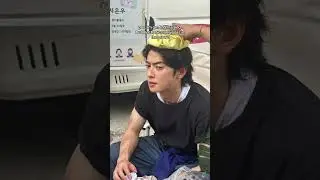 #pov