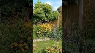 Early Autumn Garden | Autumn Perennial Border Plants | Garden Tour Cottage Garden