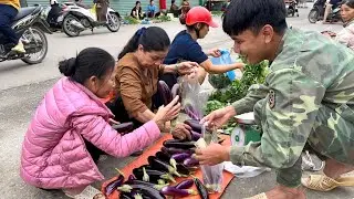 Harvest and sell eggplants at highland markets | Hung's Simple Life