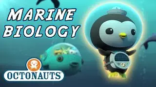 Octonauts - Marine Biology | Cartoons for Kids | Underwater Sea Education