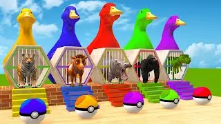 5 Giant Duck Cartoon,Tiger,Cow,Gorilla,Hippo,Dog,T Rex Wild Animals Crossing Fountain 2023