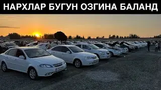 ЭРТАЛАБГИ НАРХ НАВОЛАР🔥 11 - Август Хоразм Машина Бозори Нархлари. НАРХЛАРДА УЗГАРИШ БОР