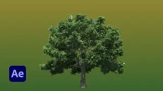 Moving Tree animation - Adobe Aftereffects - after effects and photoshop tutorial
