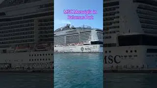 #mscmeraviglia #travel #vacation #youtubeshort #traveladdict #msccruise #msc2024 #bahamas