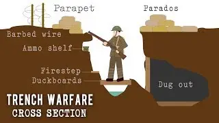 Trench Systems (Cross Section)