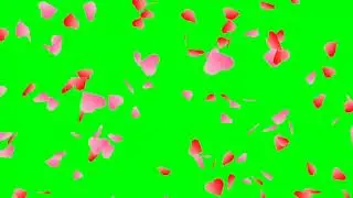 green screen heart♥️💛 shower animation template video