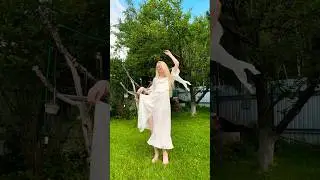 КОМАР: МЕНЯ ПОКАЖИ!!!